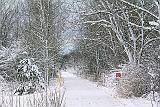 Wintry Cataraqui Trail_32387